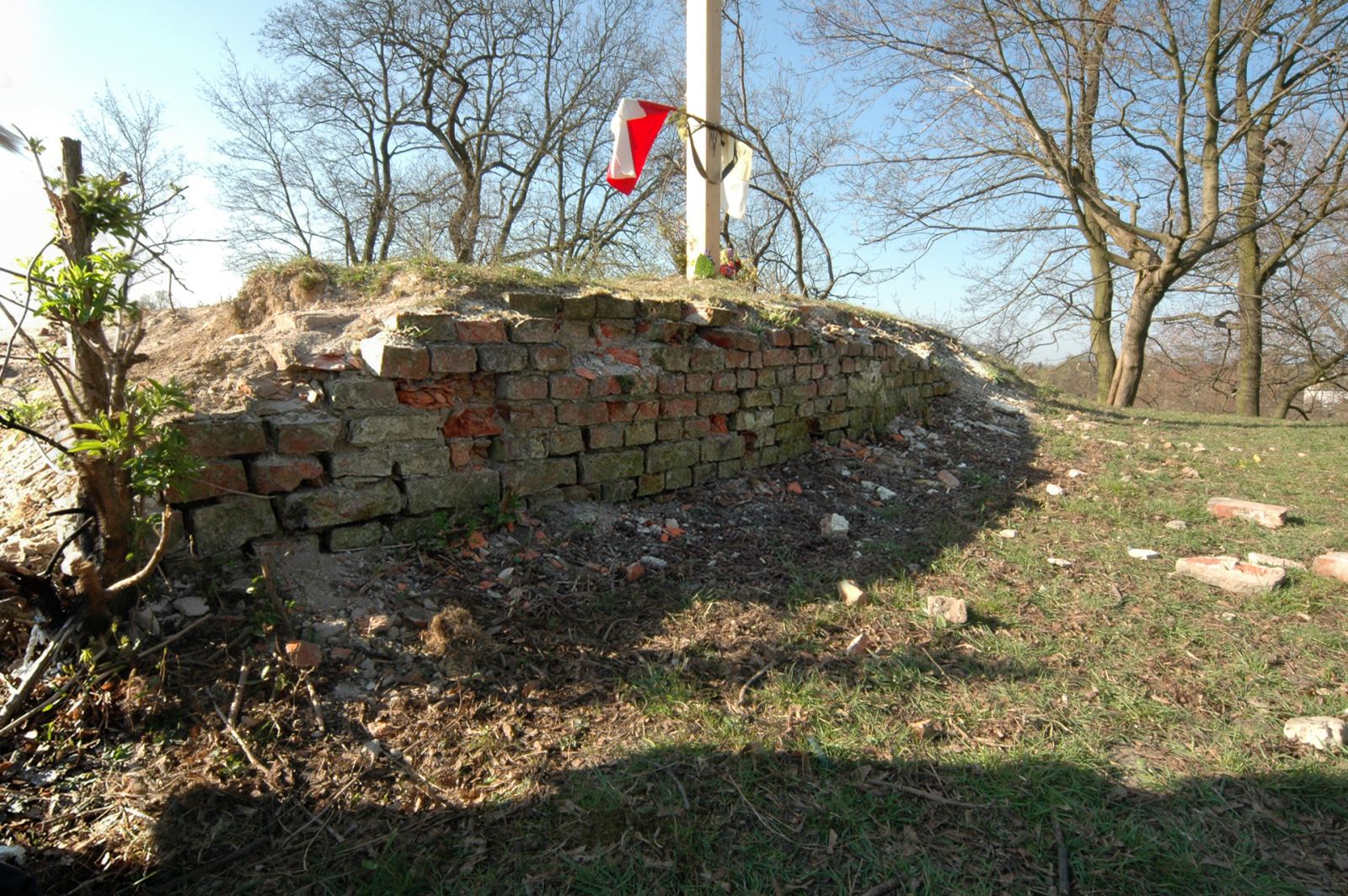 Piwnice zamku, Białogard