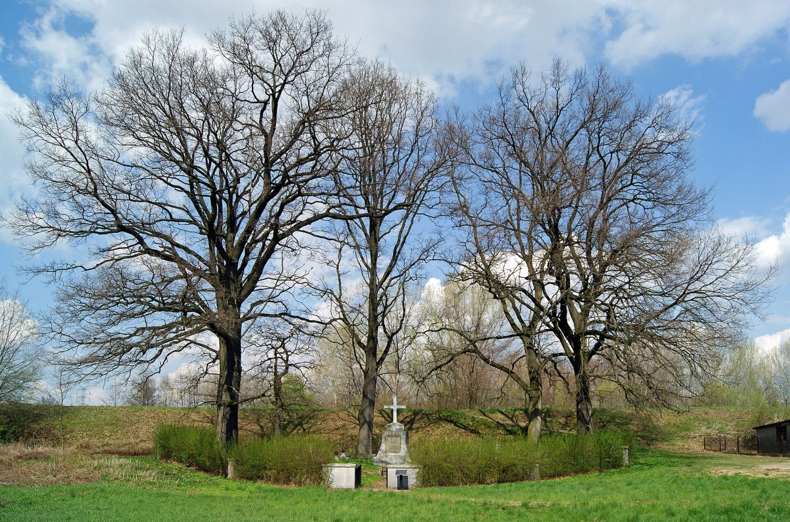 Cmentarz wojenny nr 209 z I wojny światowej, Glów