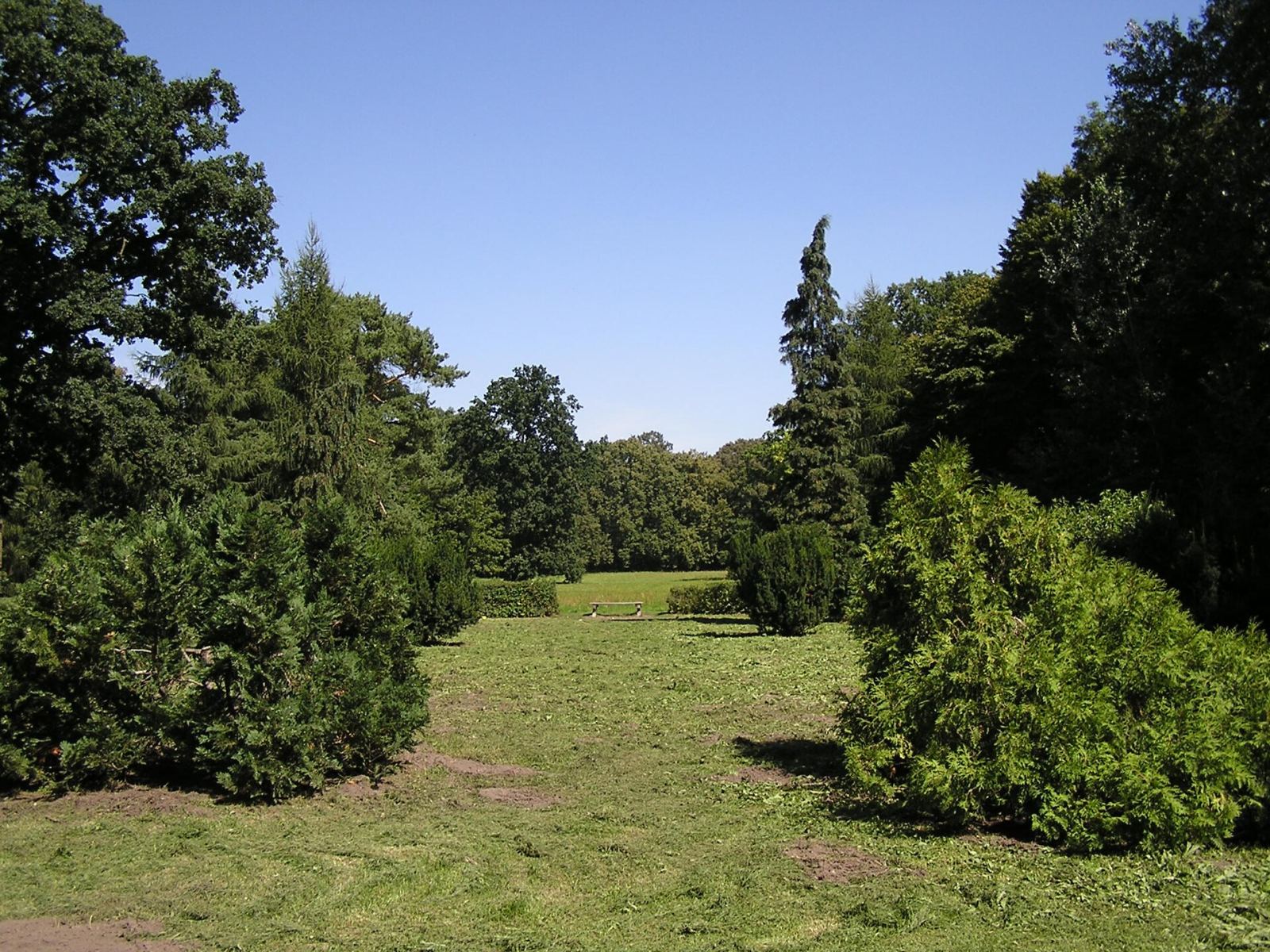 Park, Gałowo