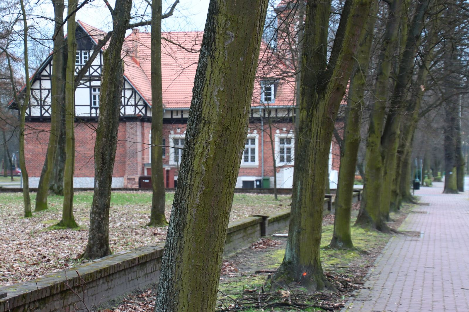 Willa dyrektora, Zawiercie