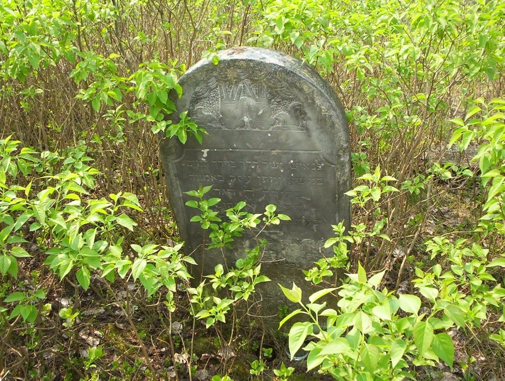 Cmentarz żydowski, Wiskitki
