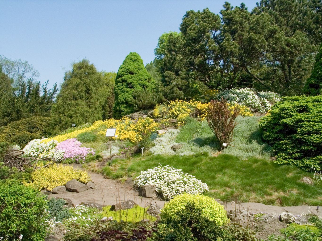 Ogród Botaniczny, Kraków