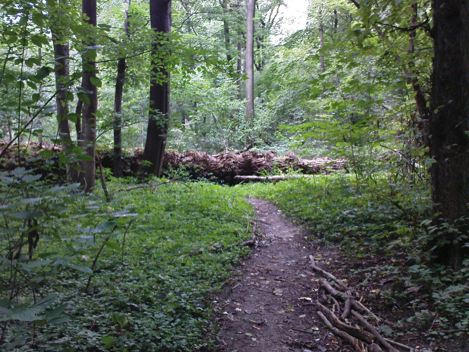 Park, Warszawa