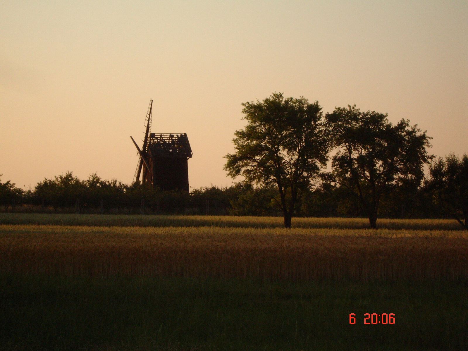 Wiatrak koźlak, Pawłowice