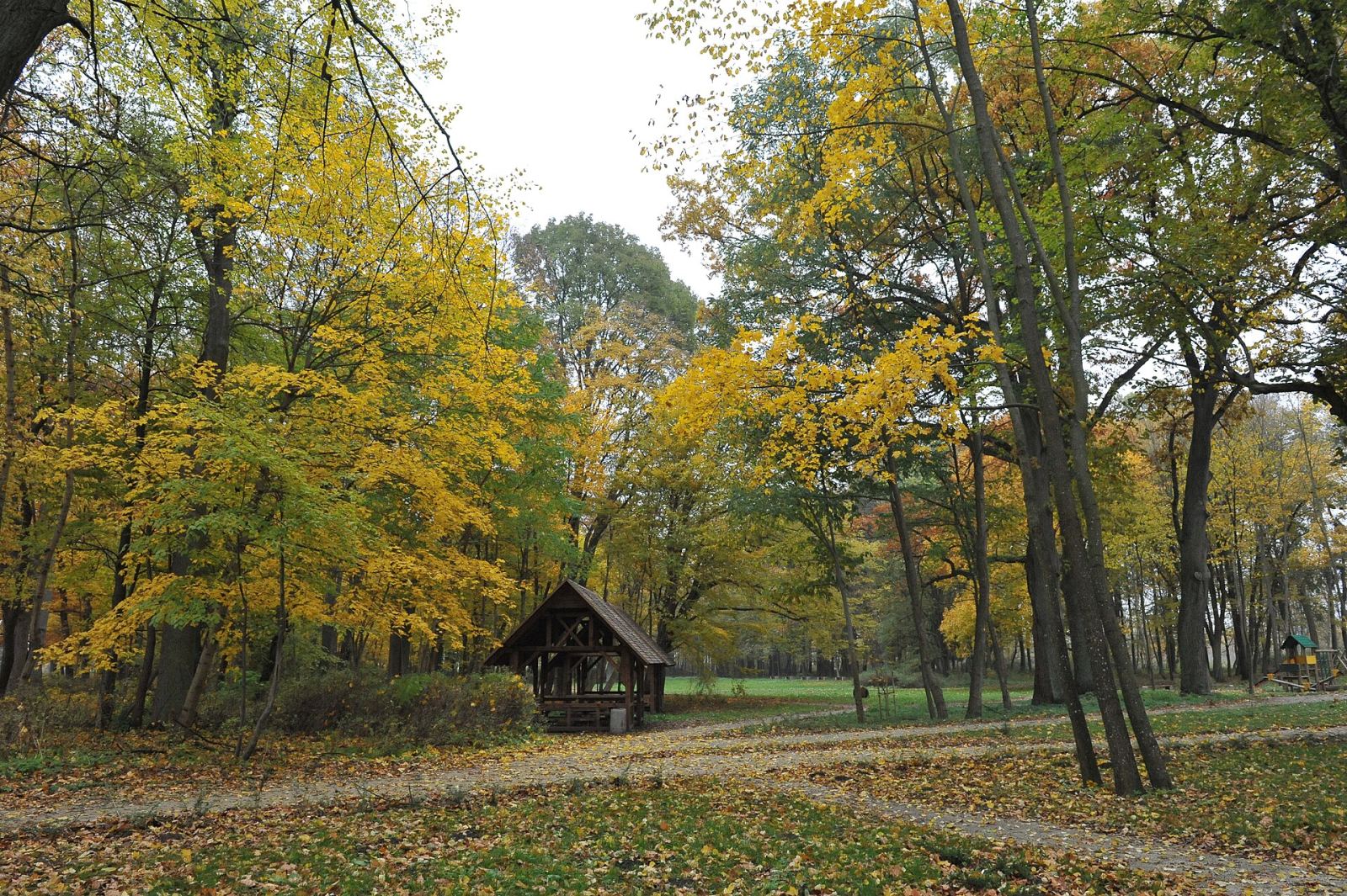 Park dworski, Bińcze