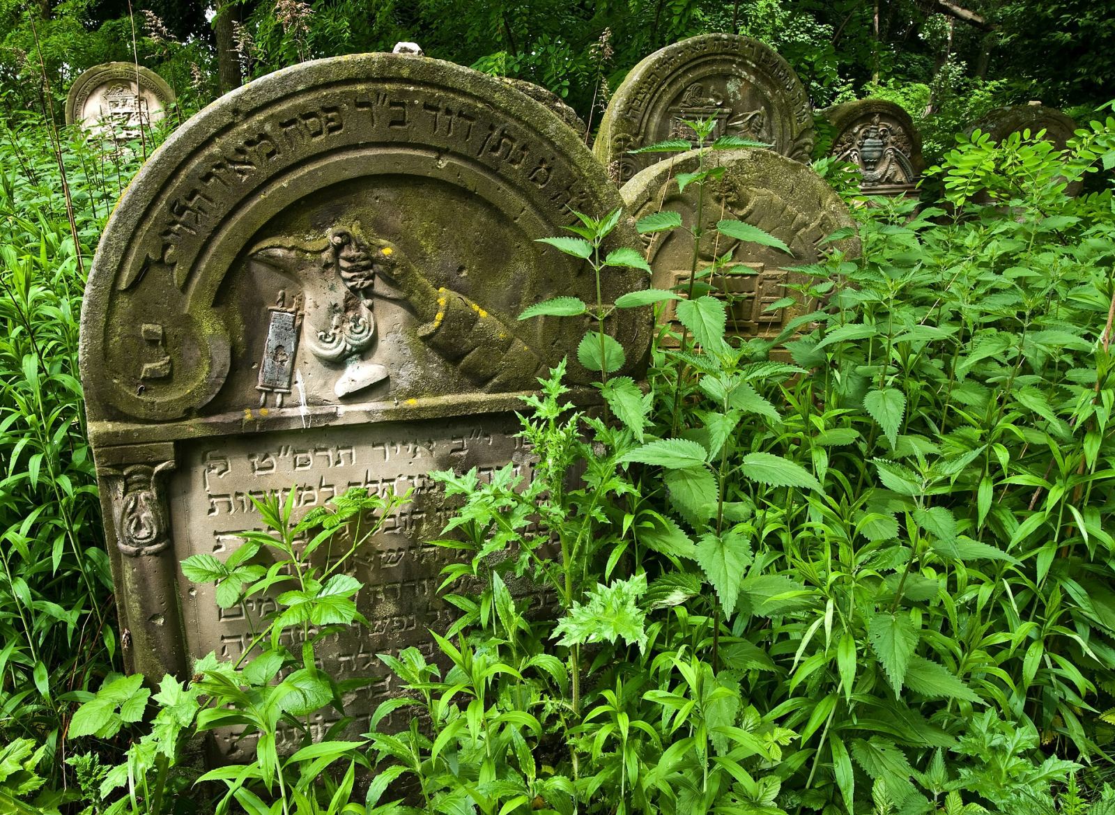 Cmentarz żydowski, Ożarów