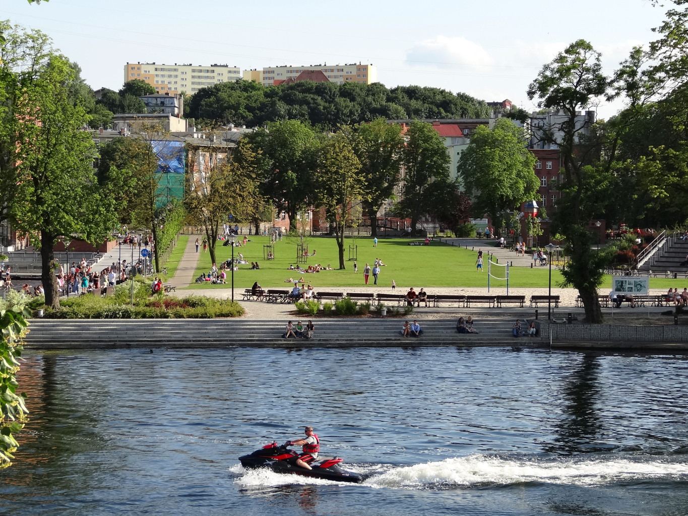 Teren Wyspy Młyńskiej z drzewostanem, Bydgoszcz