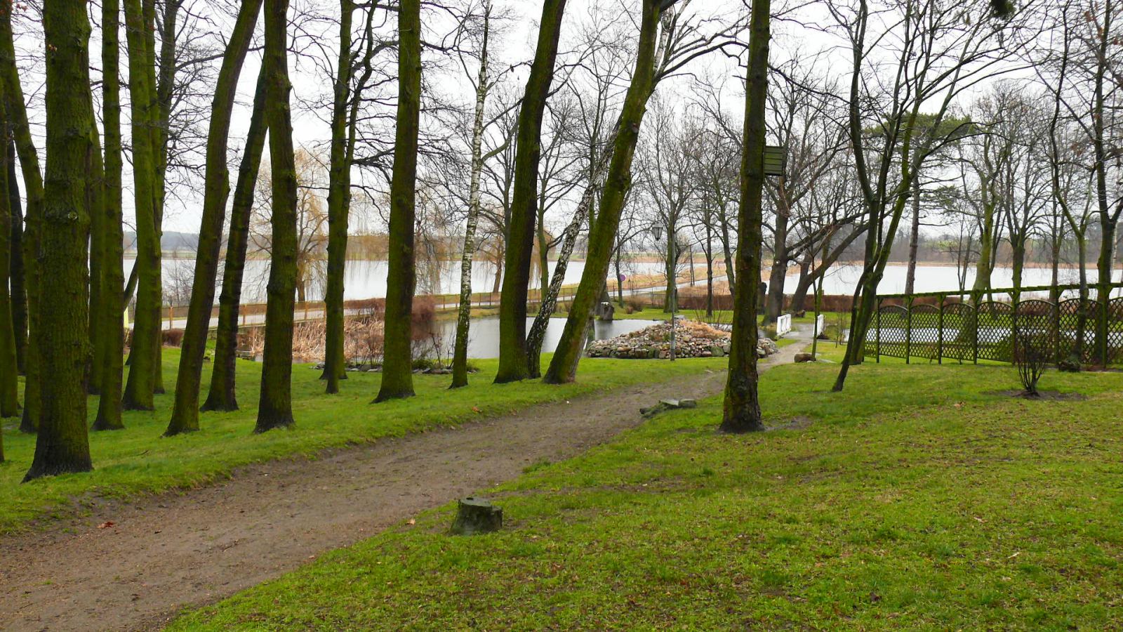 Park, Grzybno