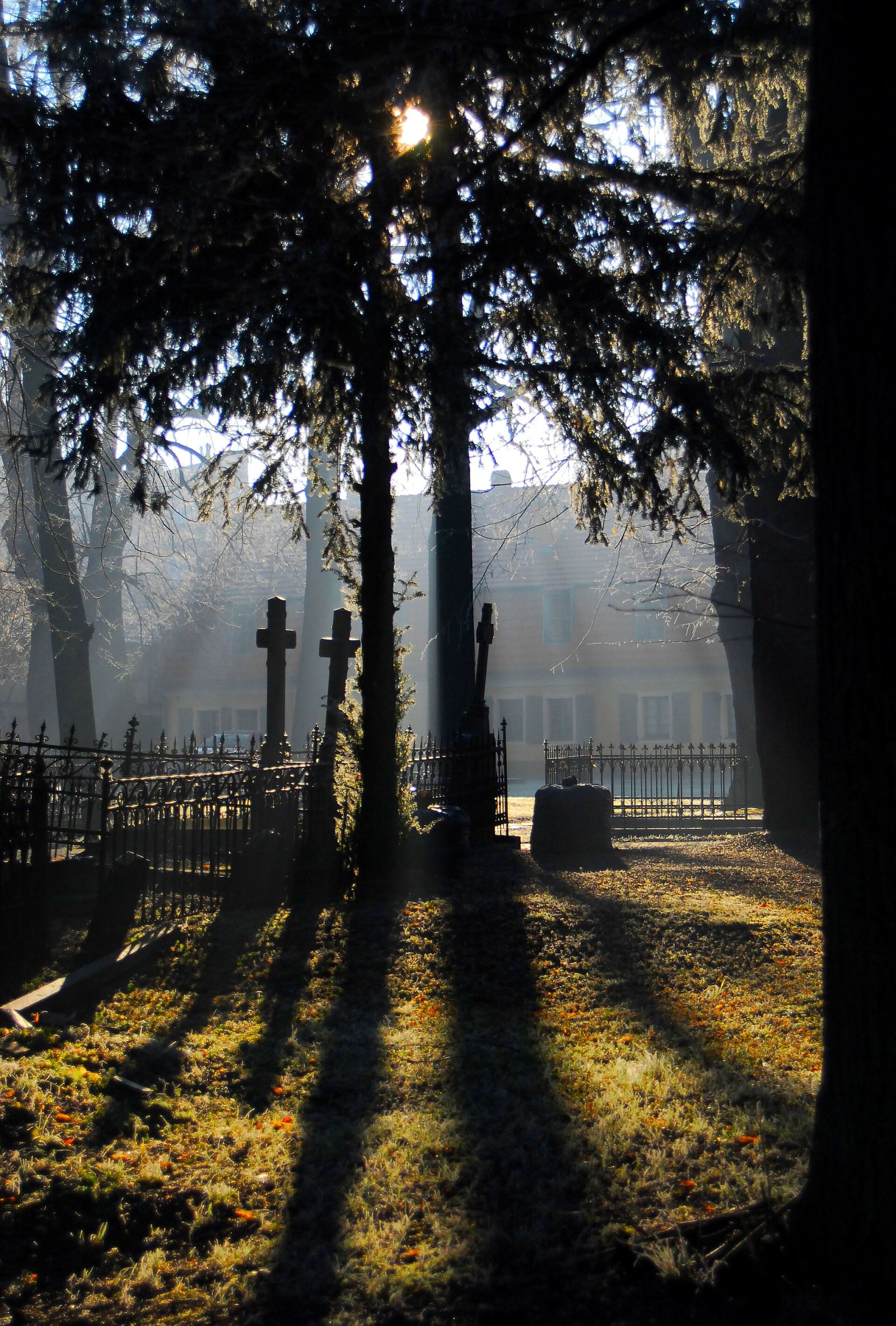 Cmentarz, Świdnica