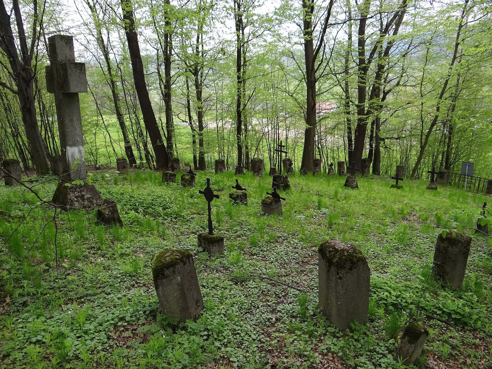 Otoczenie, Chojnik