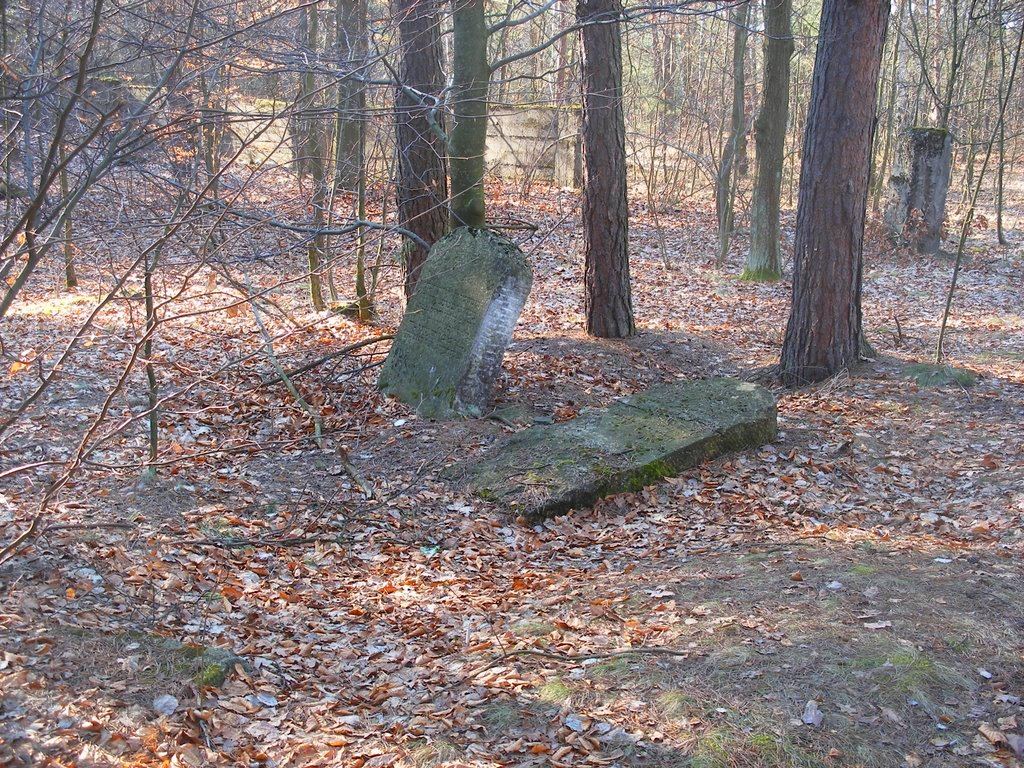 Cmentarz żydowski, tzw. Stary, Majdan Królewski