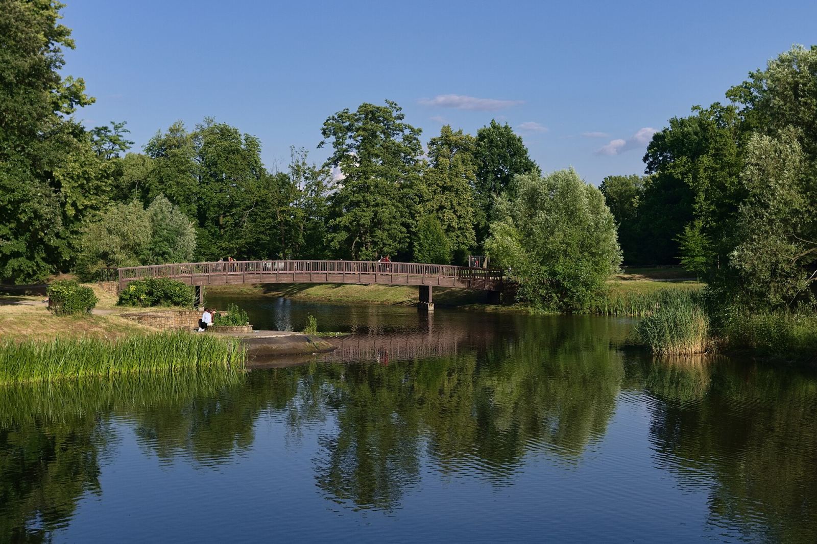 Park miejski, krajobrazowy, Bytom