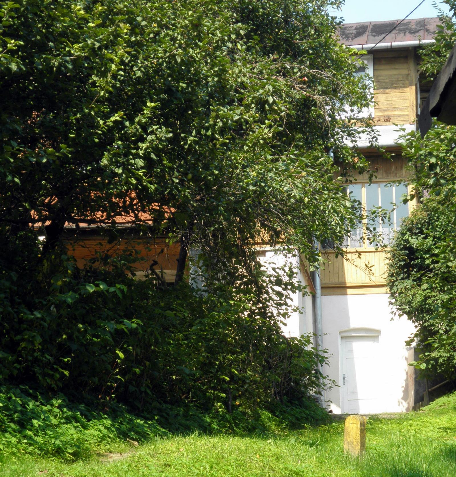 Willa Lucyna, Nałęczów