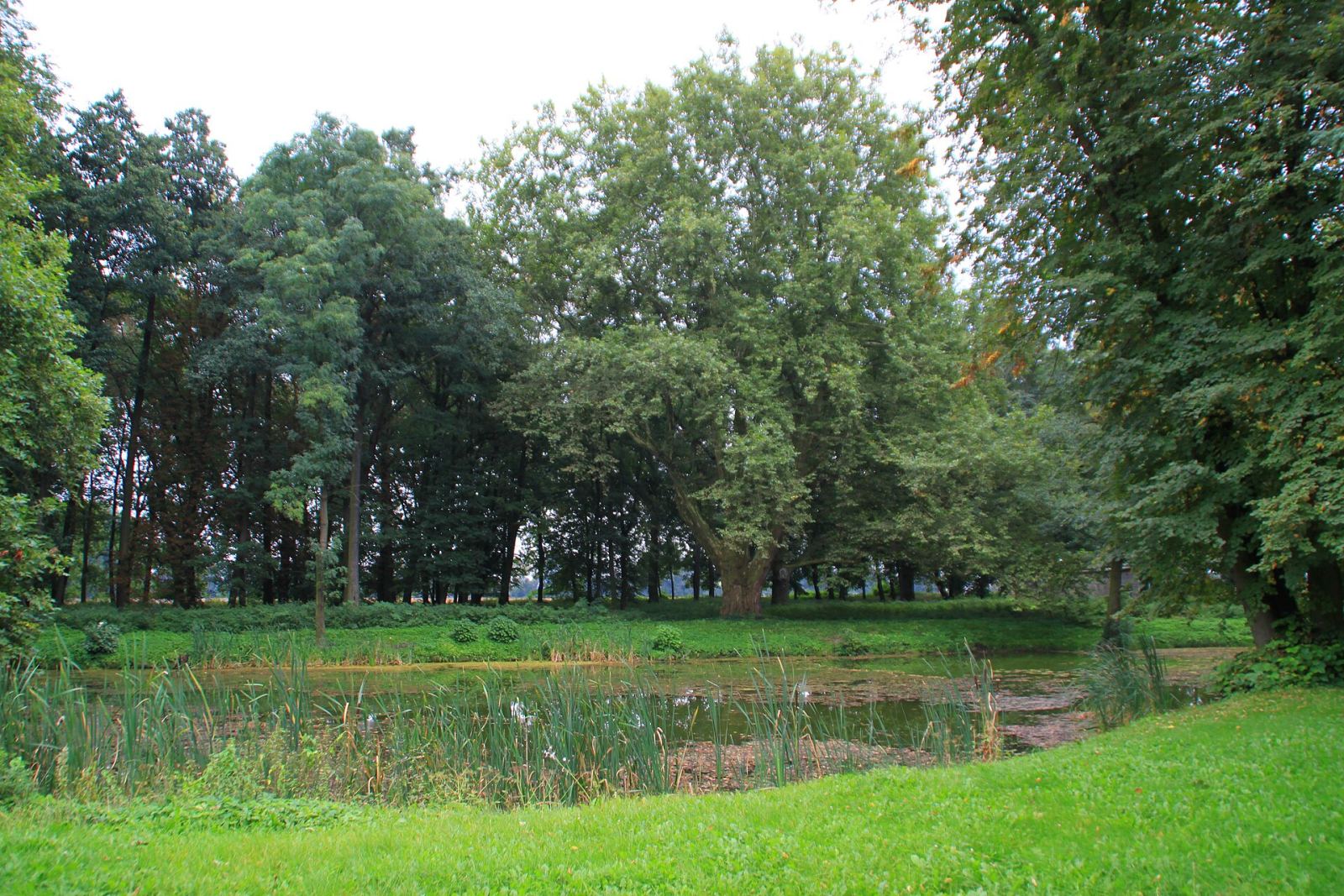 Park, Szołdry