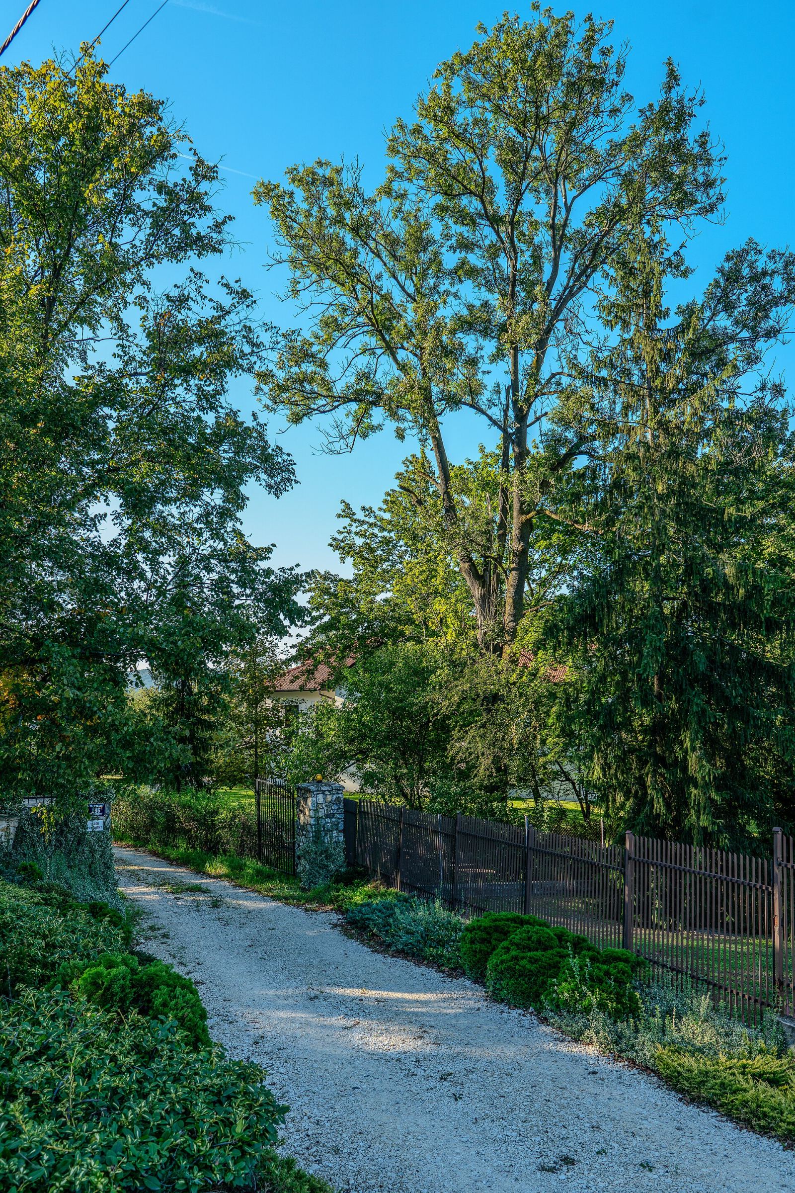 Park, Kraków