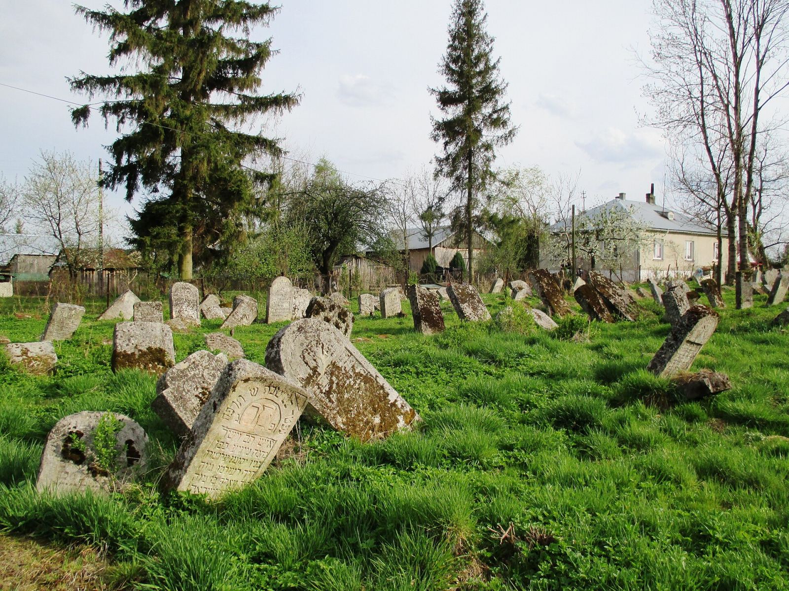 Cmentarz żydowski, Oleszyce