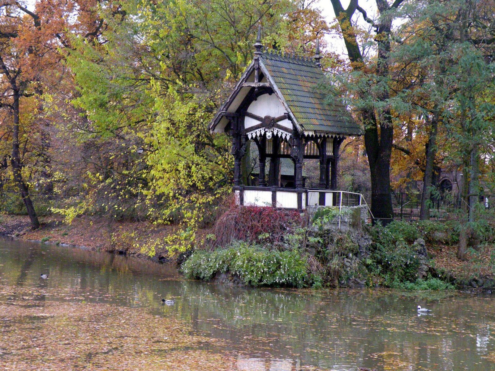 Altana nad stawem, Wrocław