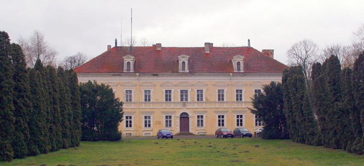 Pałac, Konarzewo