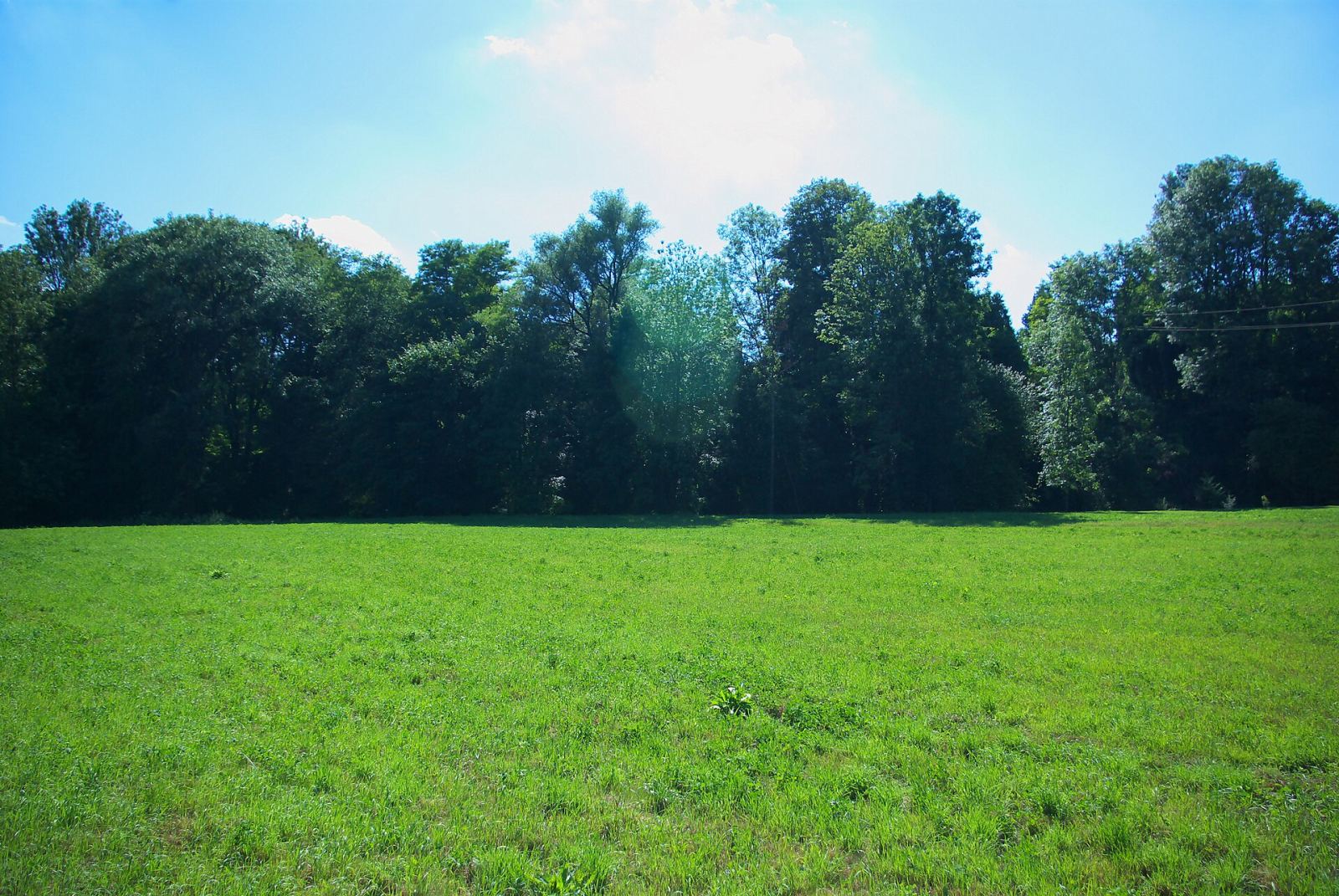 Park, Załuż
