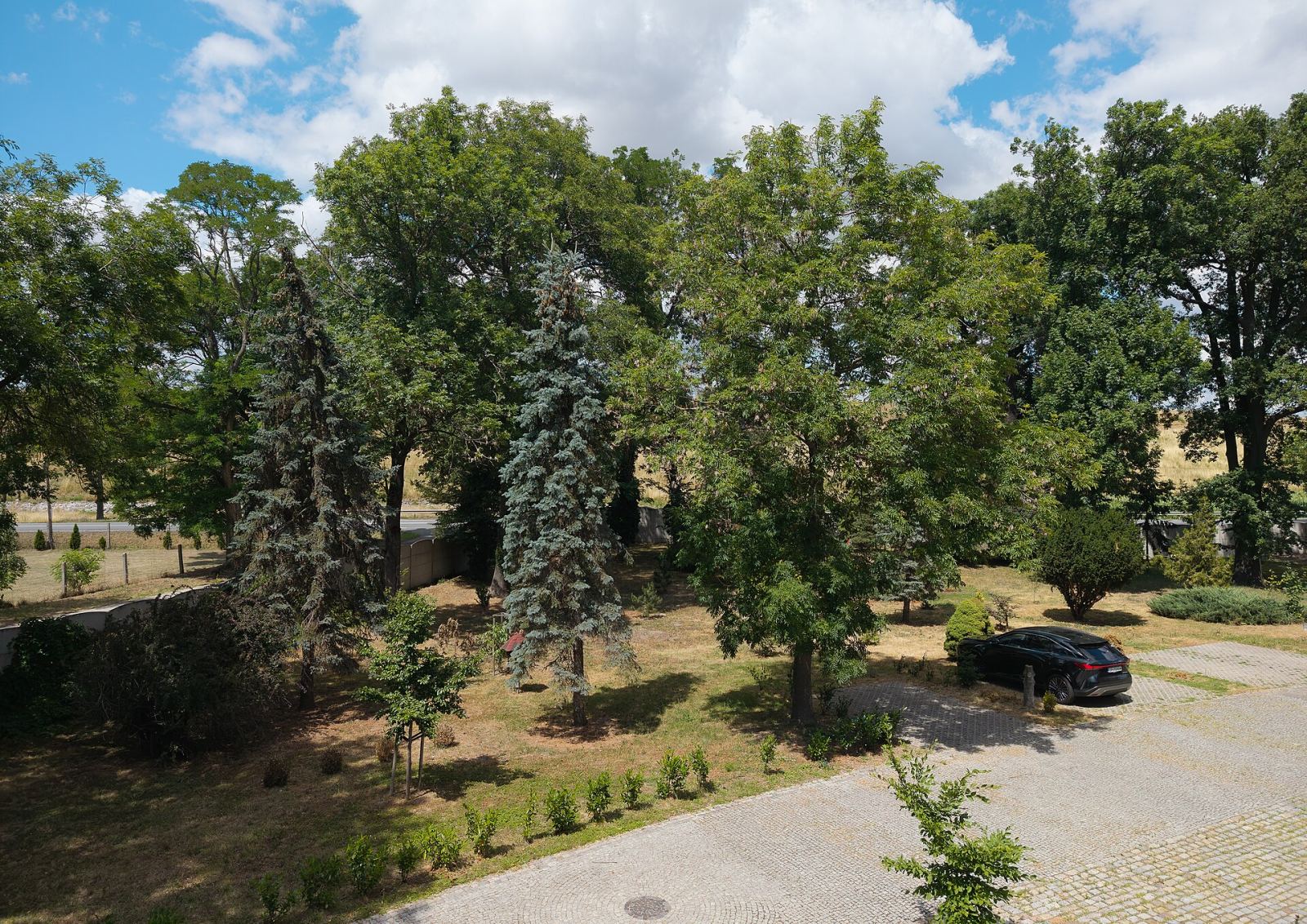 Park pałacowy, Ścibórz