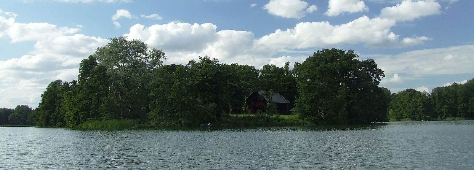 Park, Zaniemyśl
