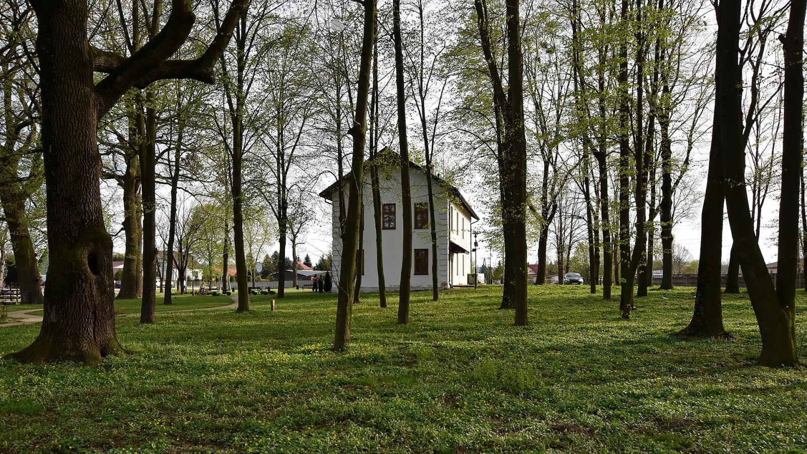 Park, Żyraków