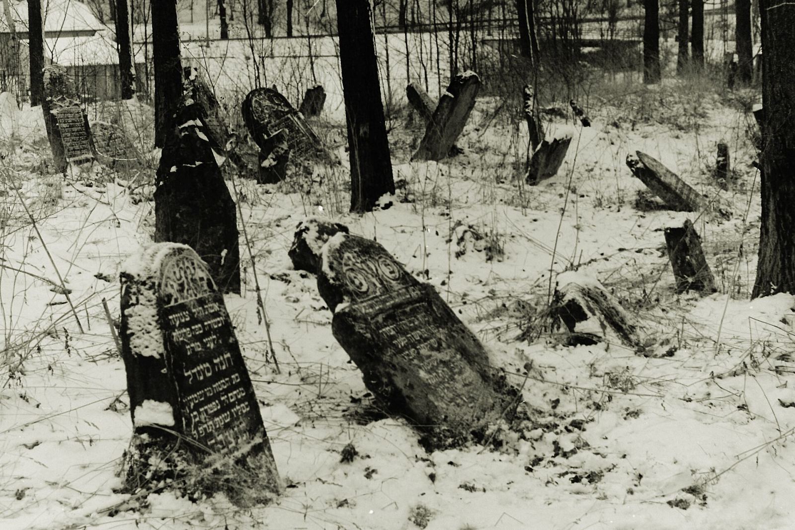 Cmentarz żydowski, Bircza