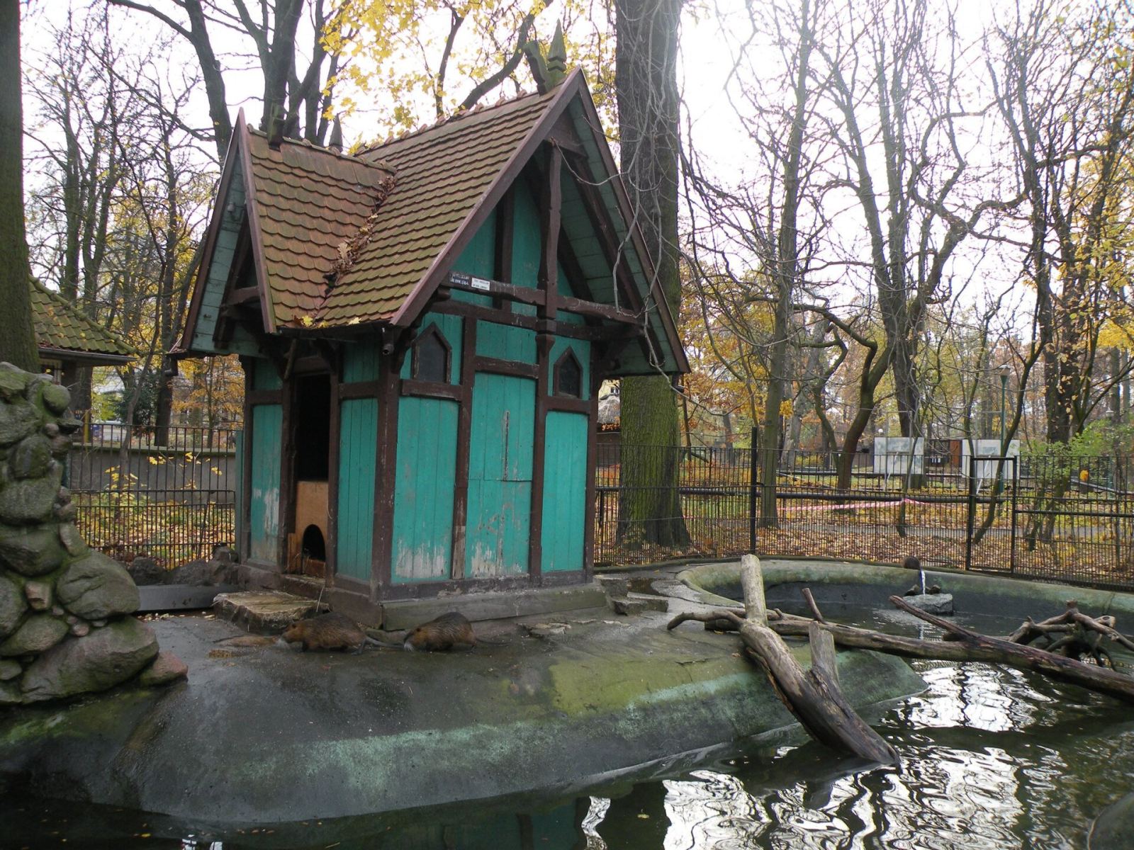 Domek bobrów, Wrocław