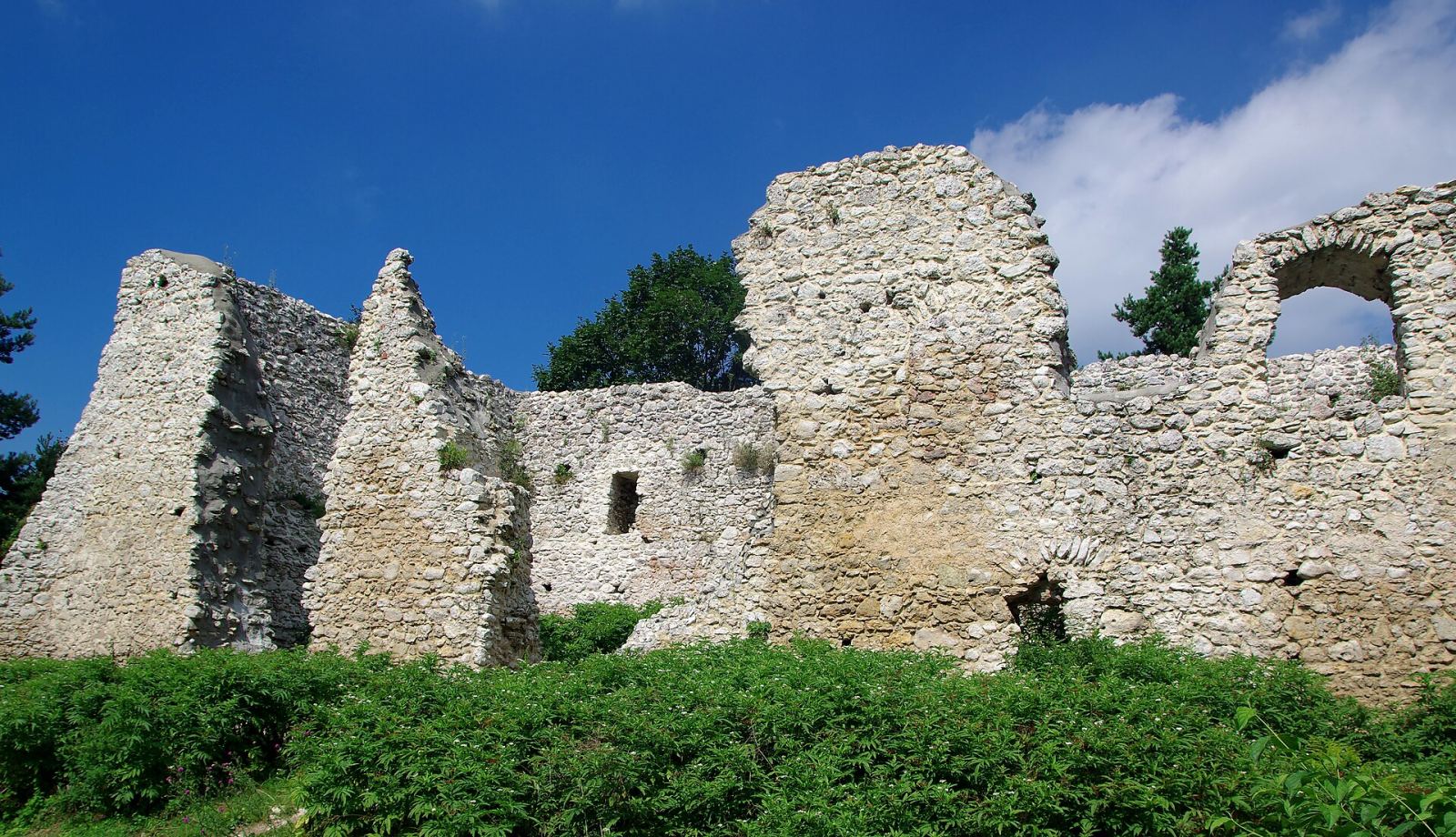 Ruiny zamku, Bydlin