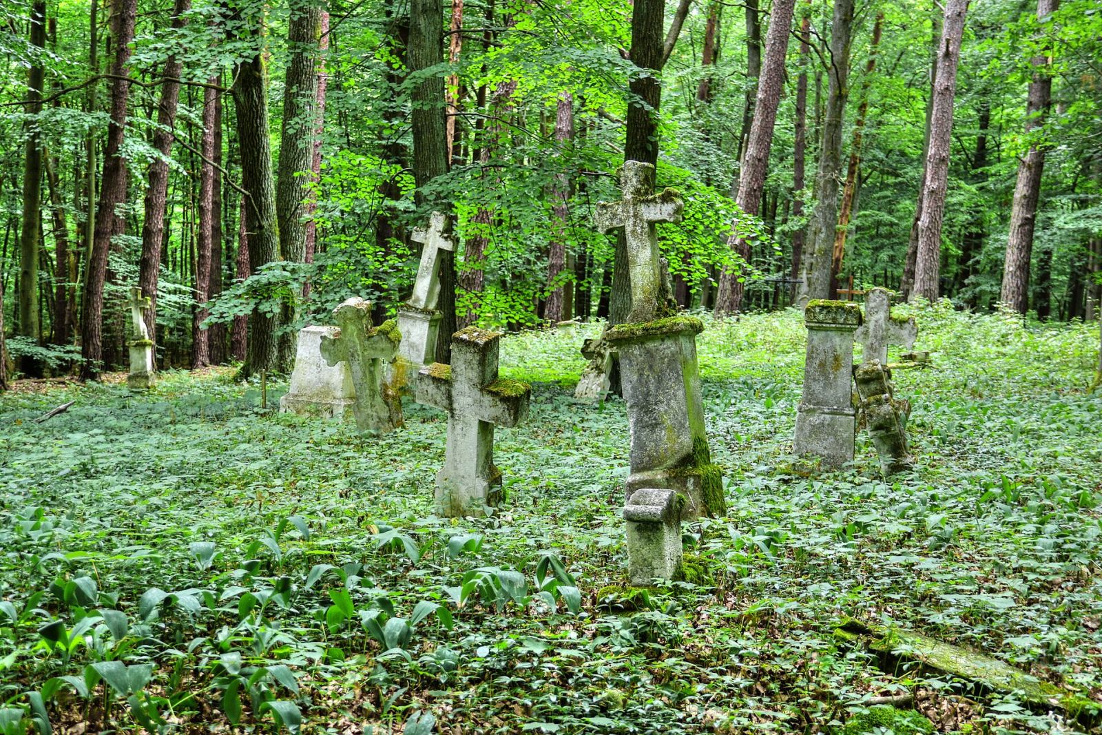 Cmentarz obrządku wschodniego, Sieniawka
