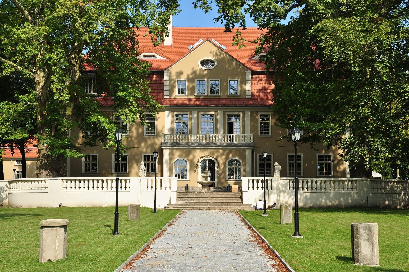 Pałac, Brzezina