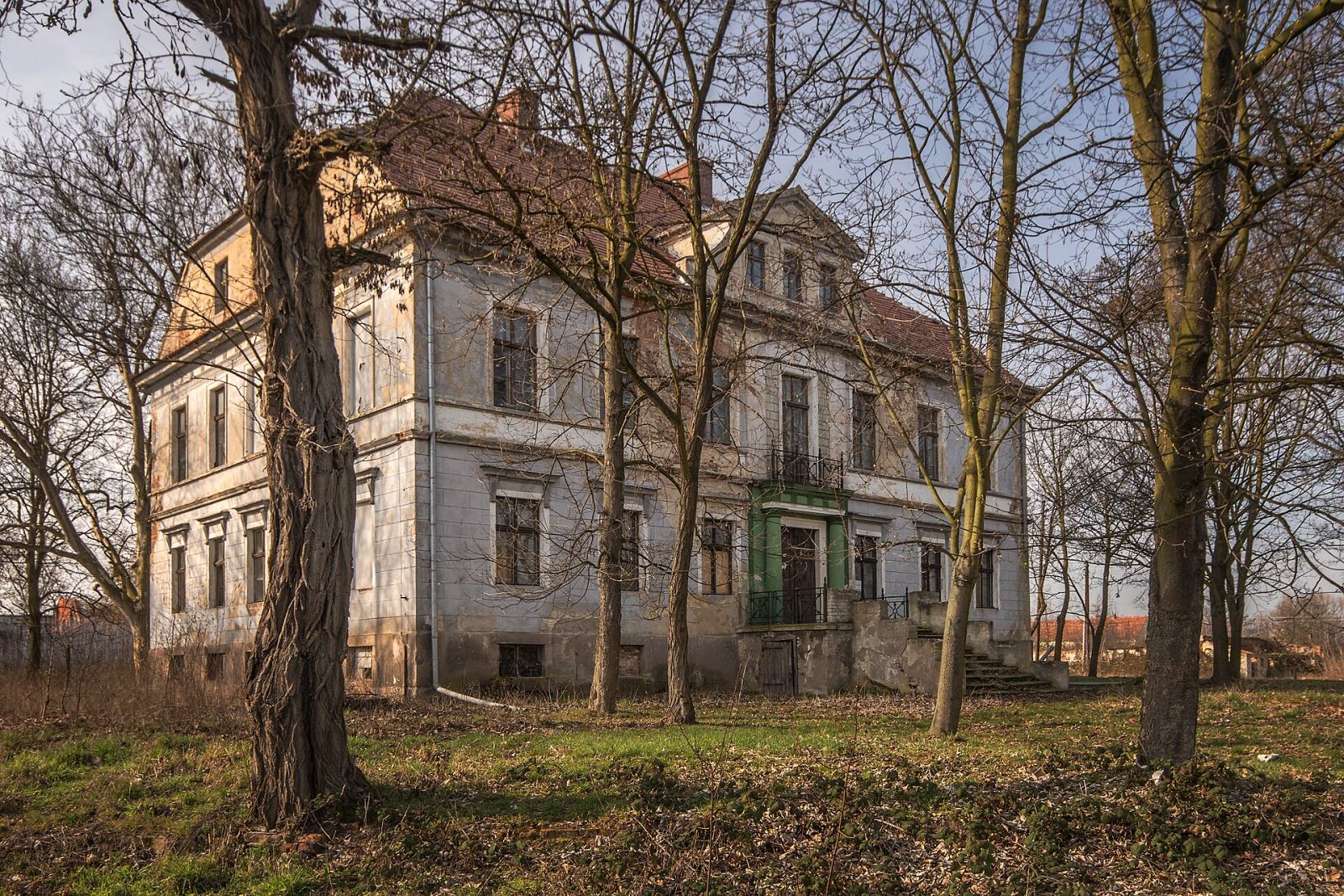 Pałac, Rogoźnik