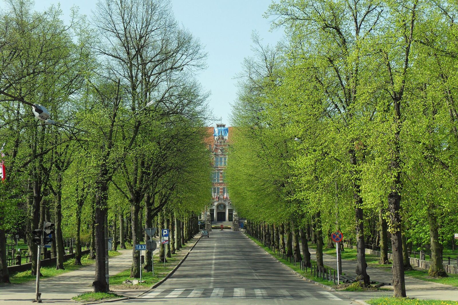 Aleja lipowa, Gdańsk