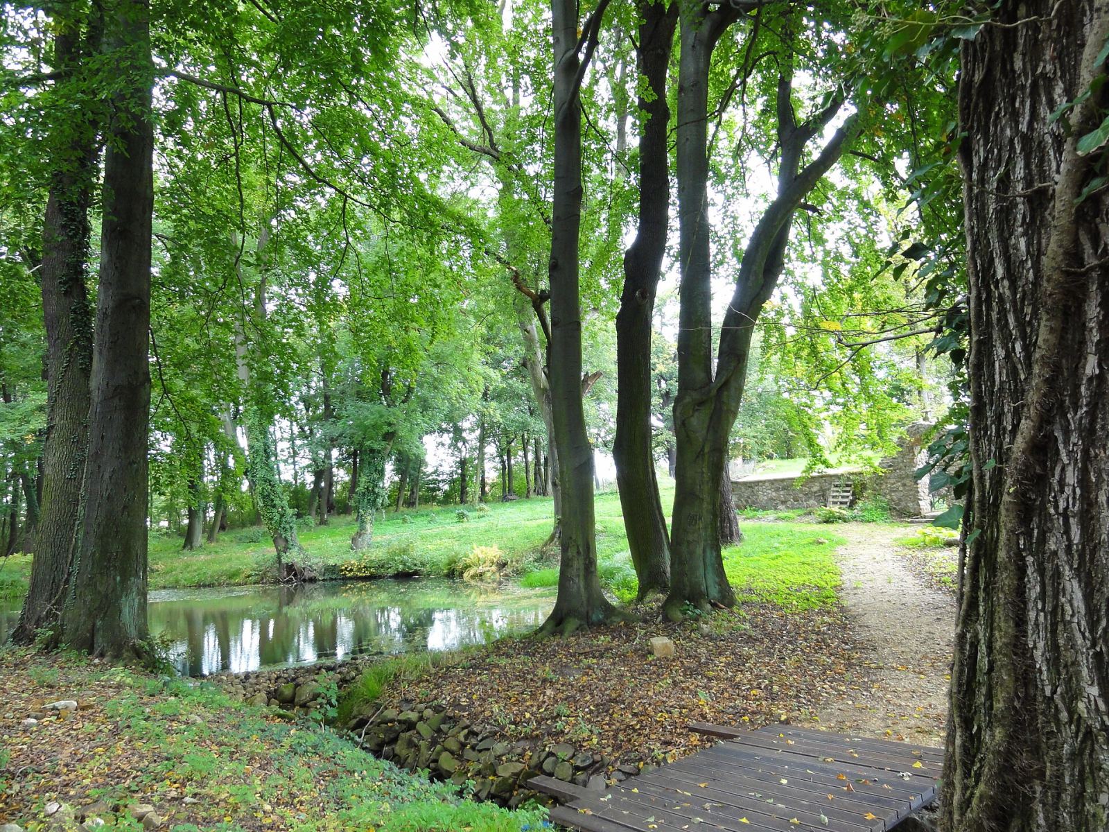 Park dworski, Pietrzyków