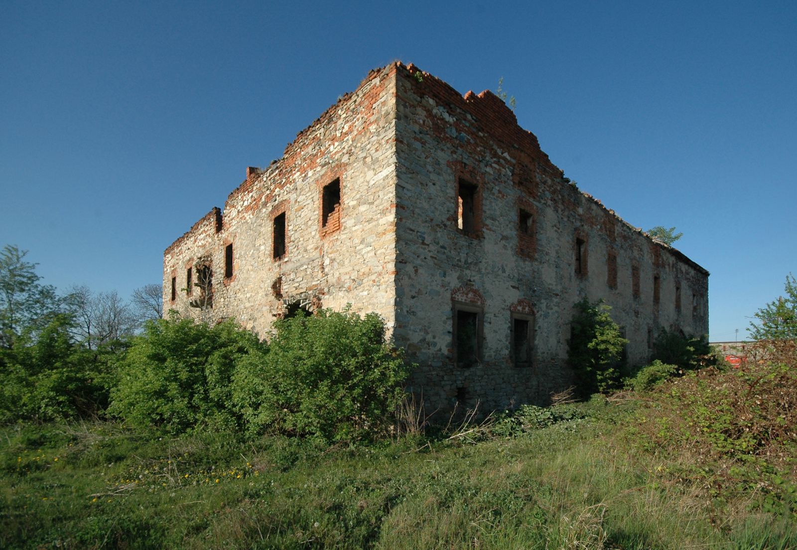 Dwór, Radzików