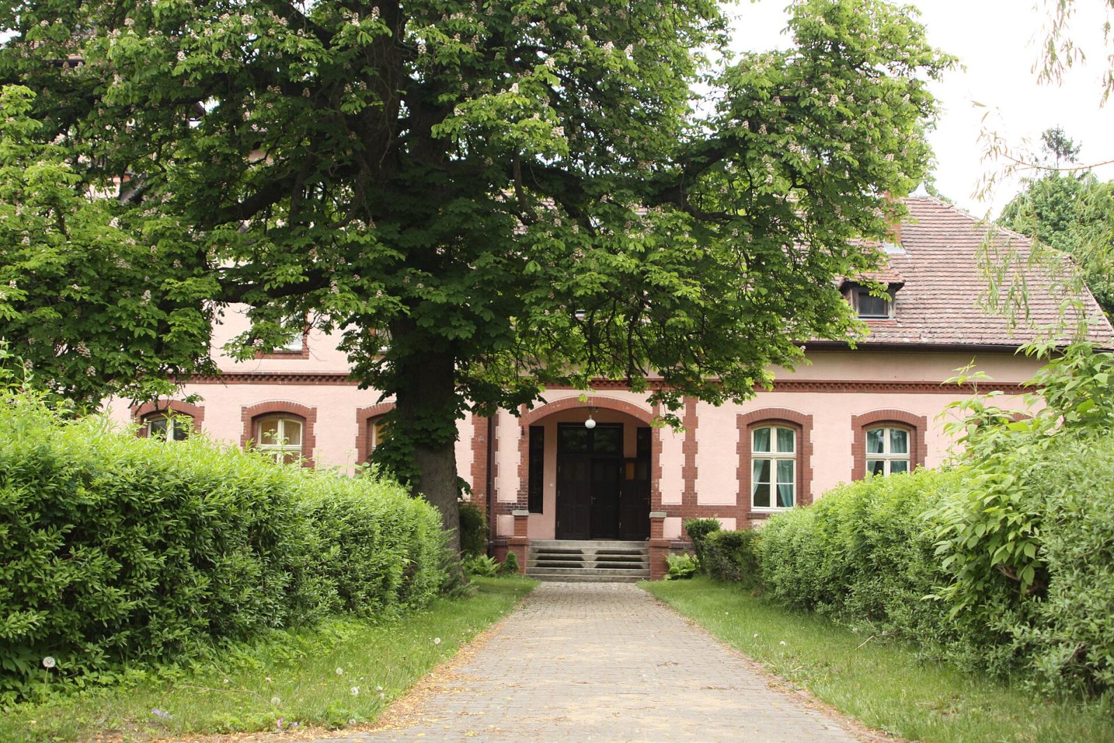 Dwór, Wrzosy