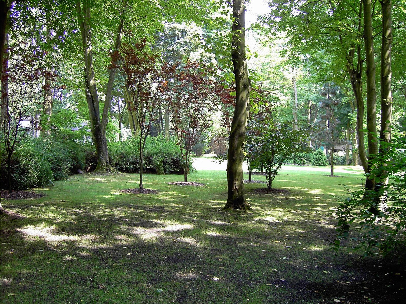 Park krajobrazowy w Bagateli, Czekanów
