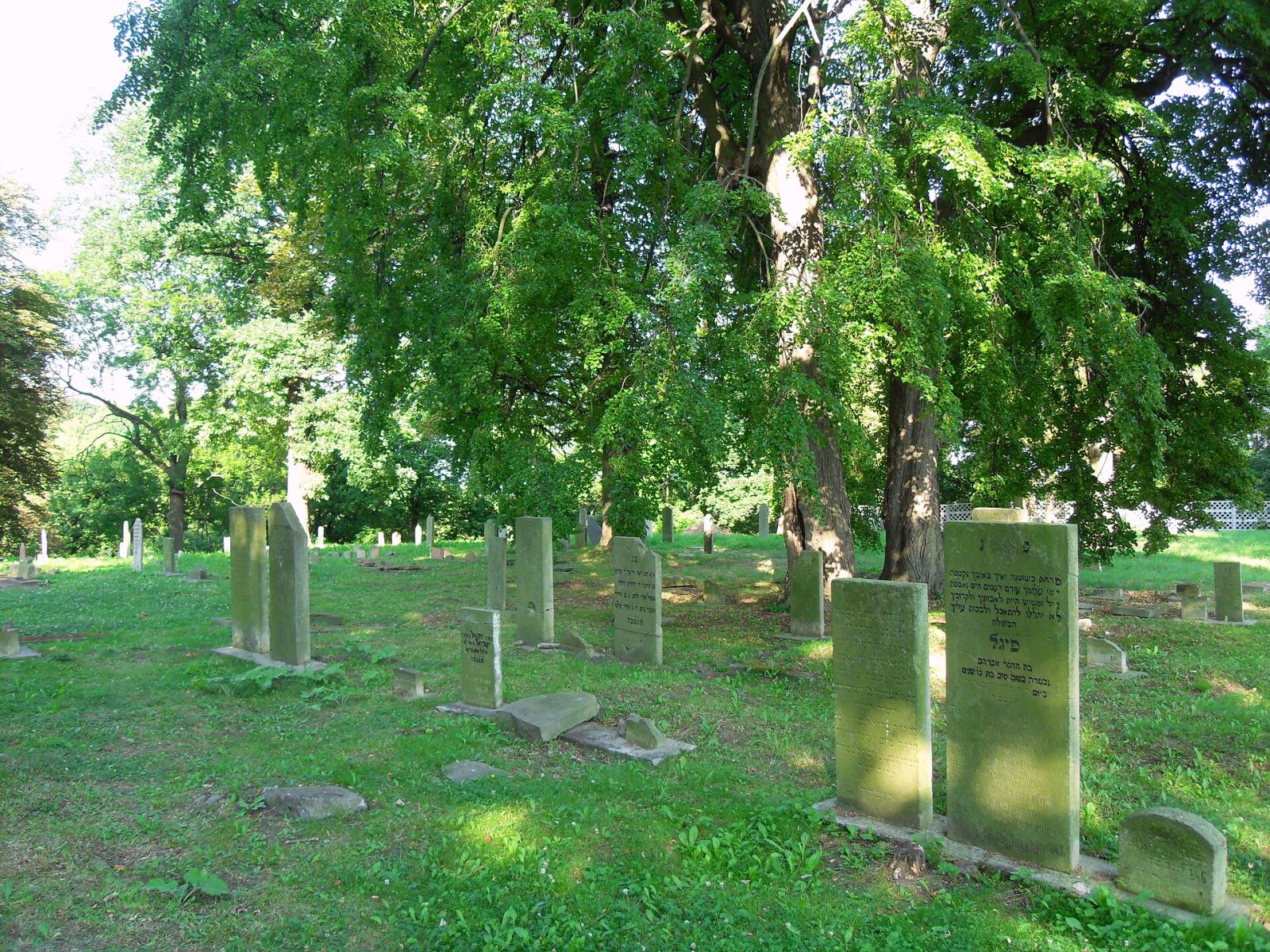 Cmentarz żydowski, Gdańsk