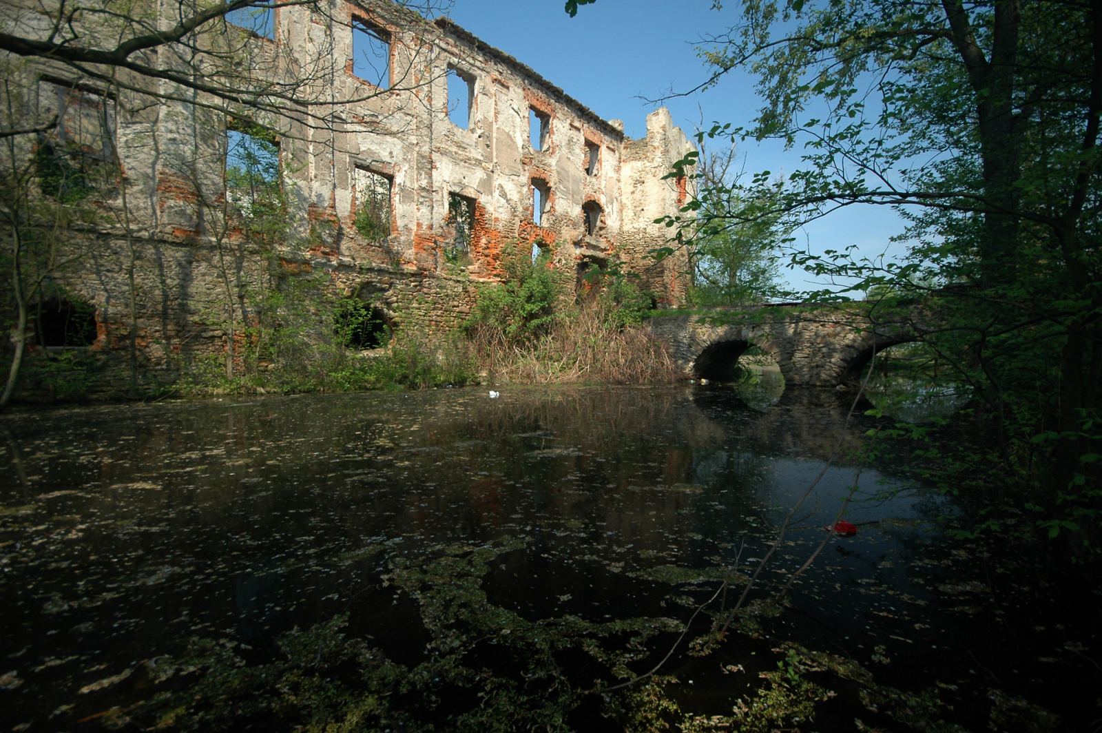 Ruiny zamku, Panków