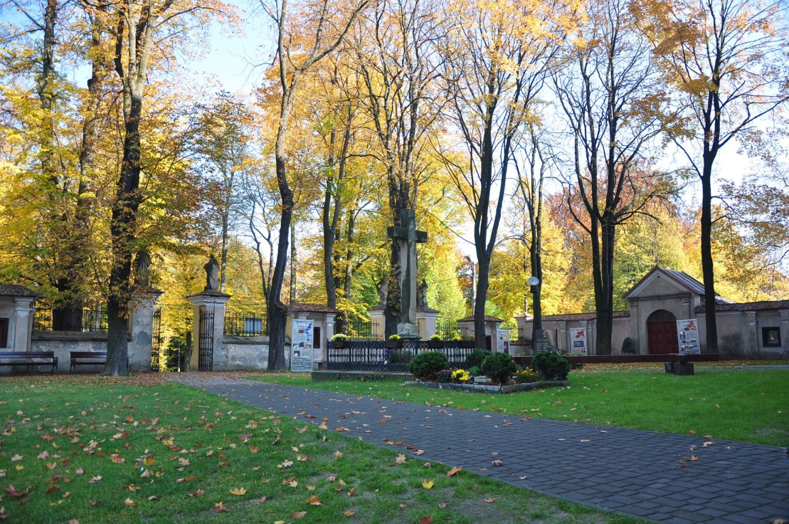 Ogrodzenie, Alwernia