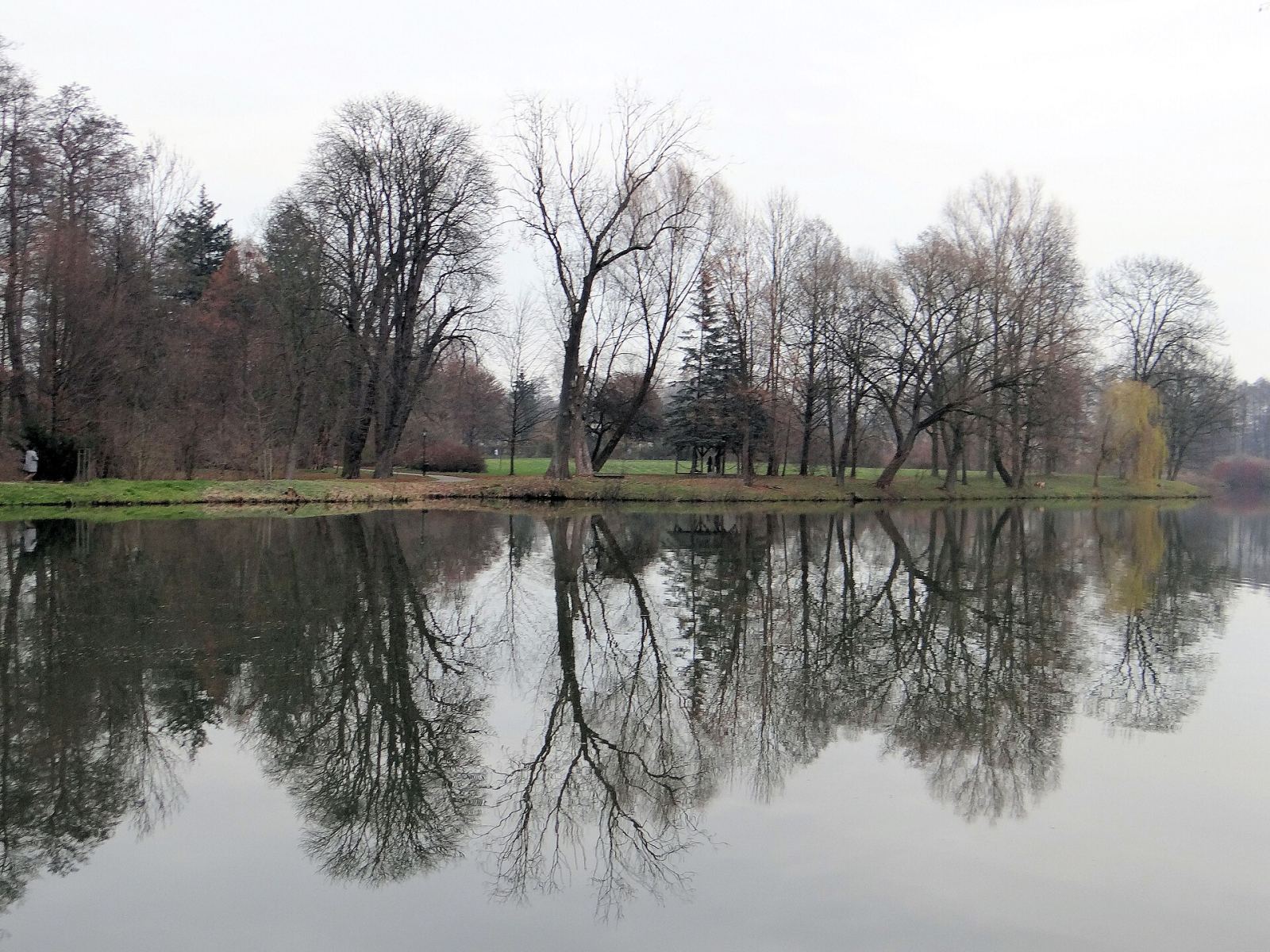 Park, Radziejowice