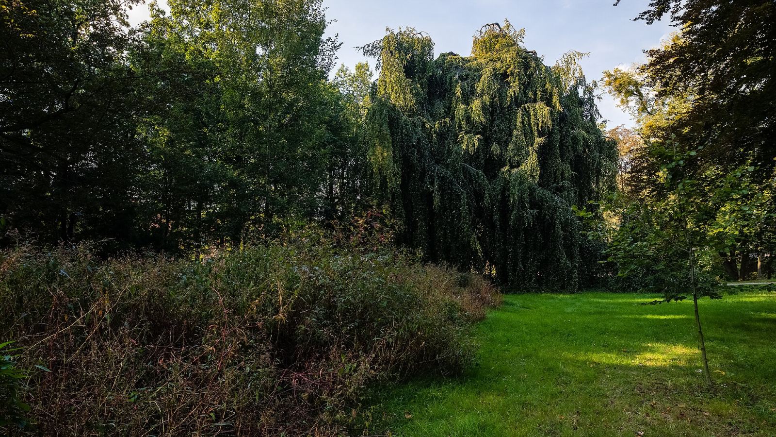 Park, Bagno