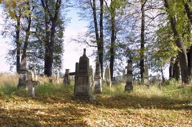 Cmentarz ewangelicki ze starodrzewem, Podlesie
