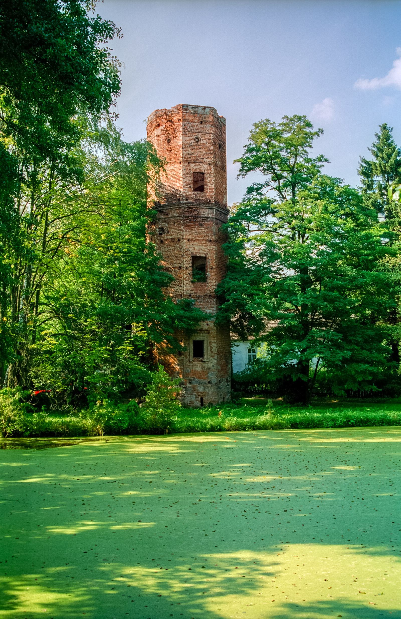 Pozostałości zespołu zamkowego, Wyszyna