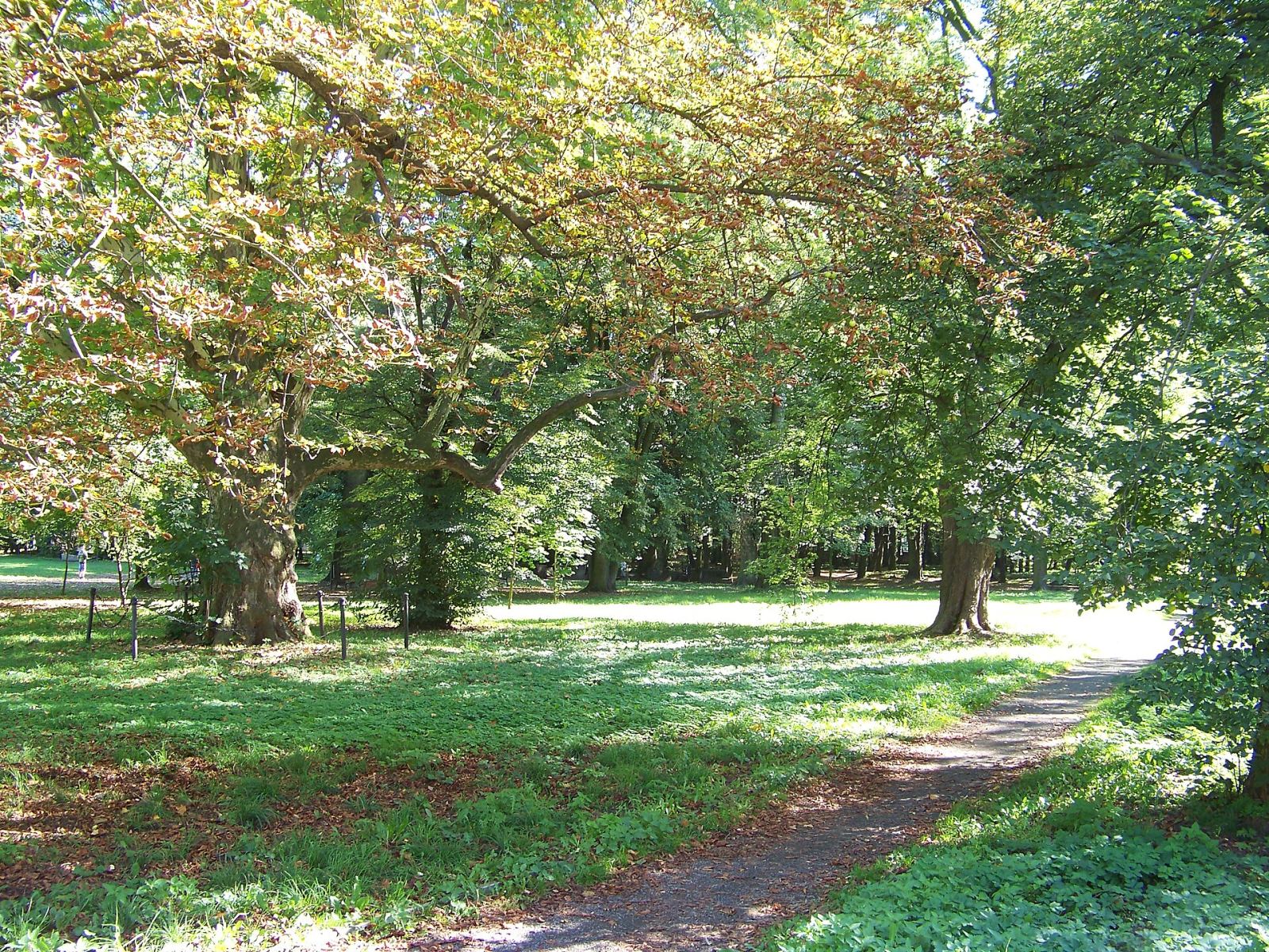 Park pałacowy, Skorogoszcz