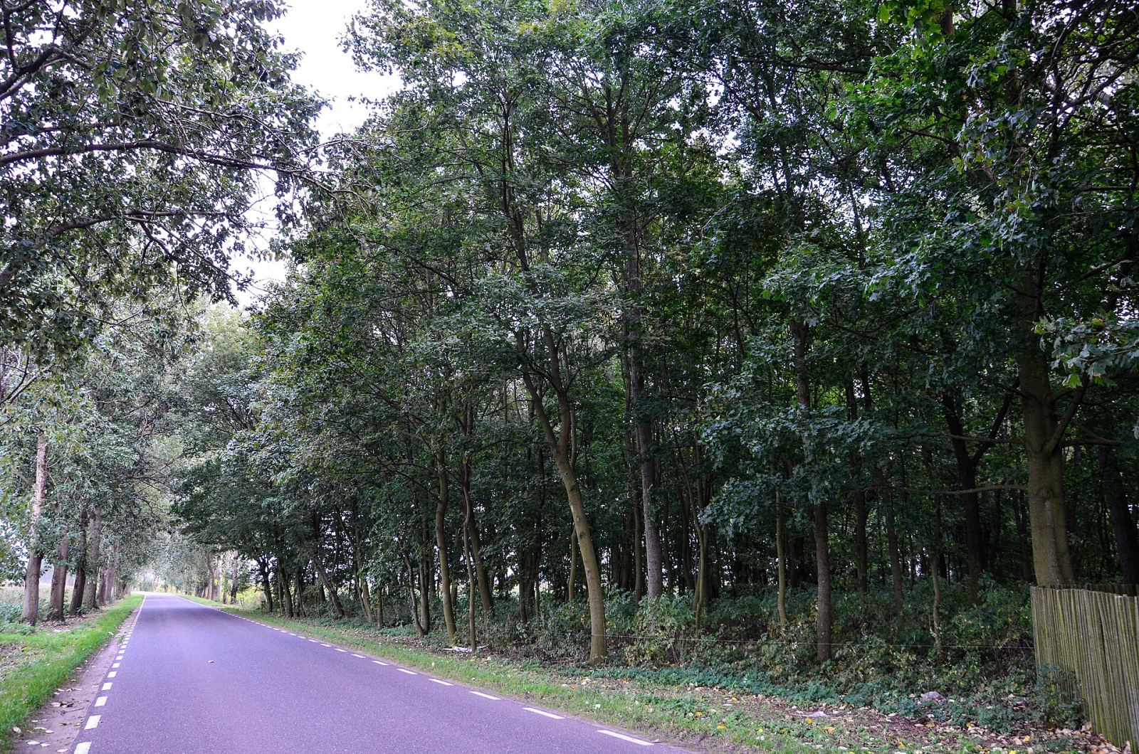 Park, Smolina