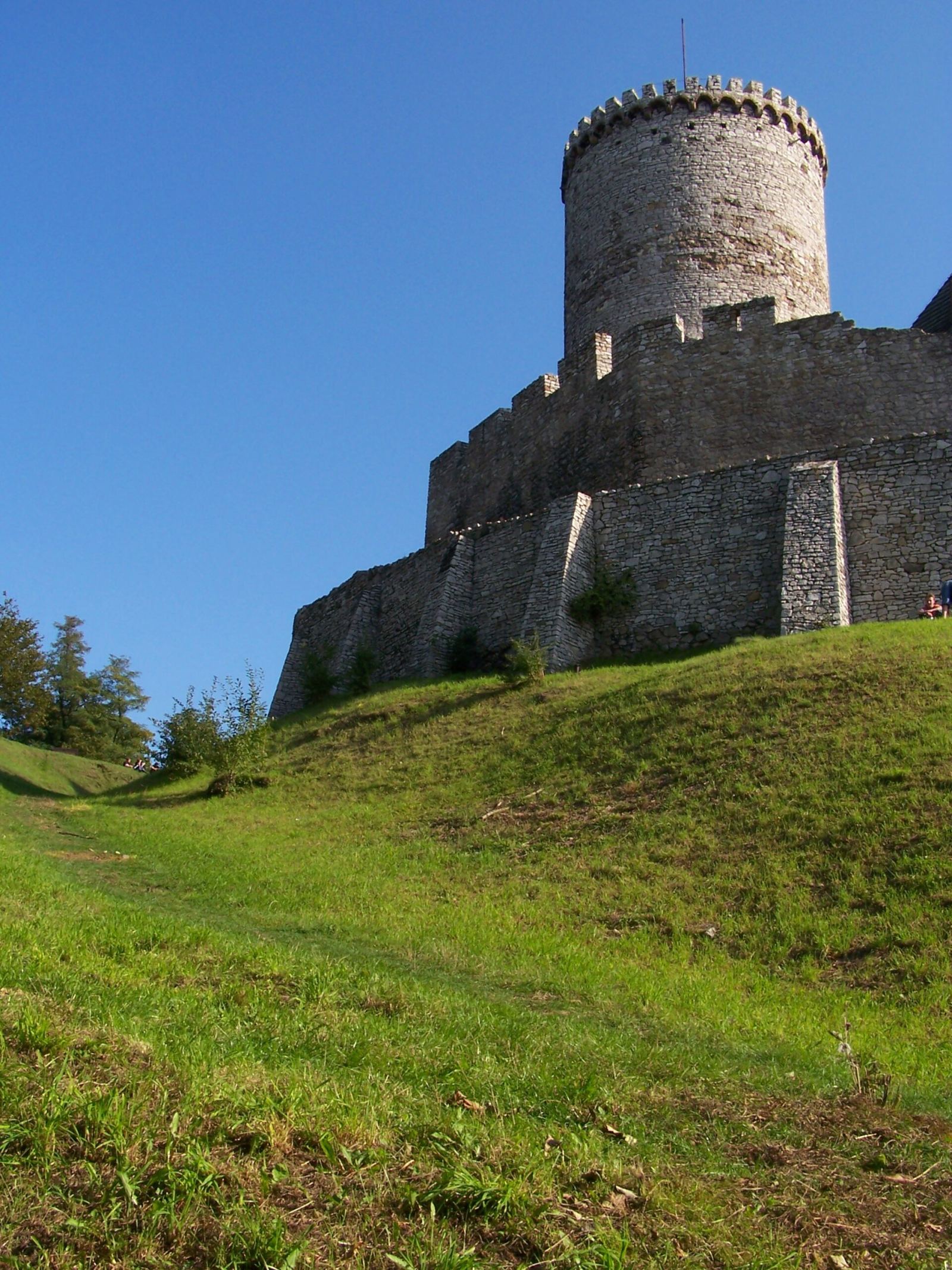 Fosy przy zamku, Będzin
