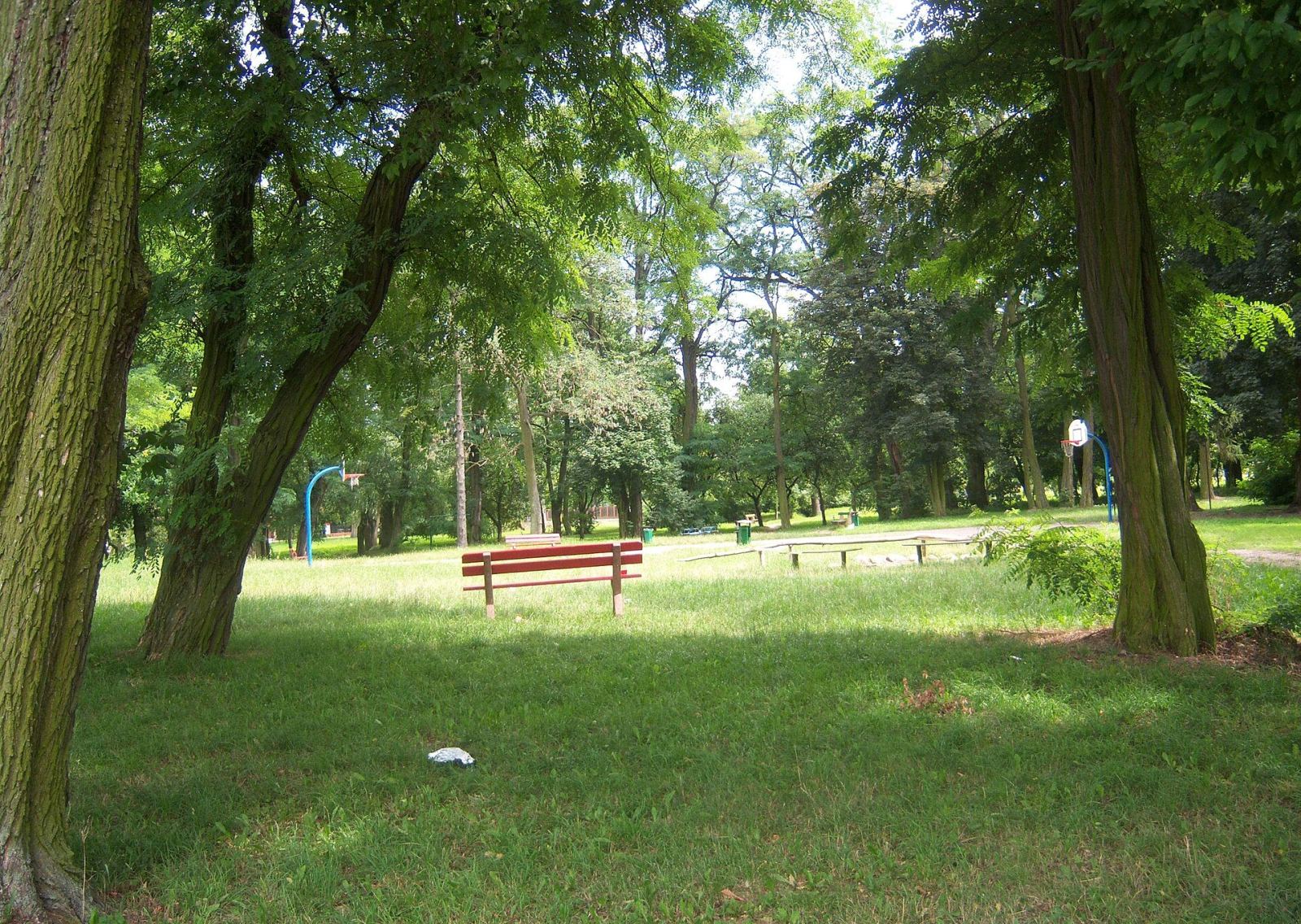 Park dworski, Konin