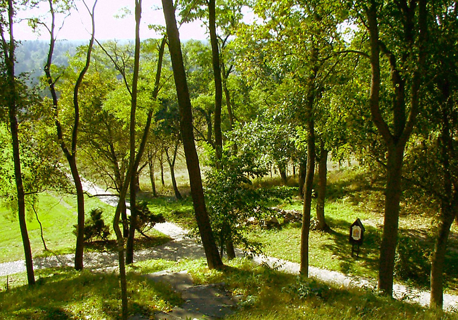 Park dworski, krajobrazowy, Bąblin