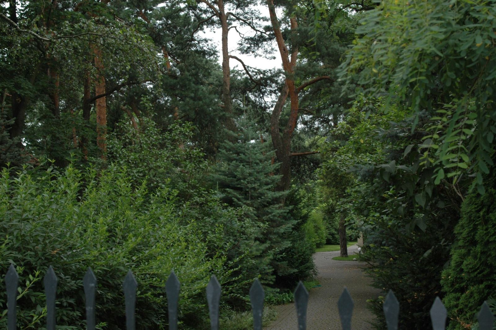Ogród leśny, Warszawa